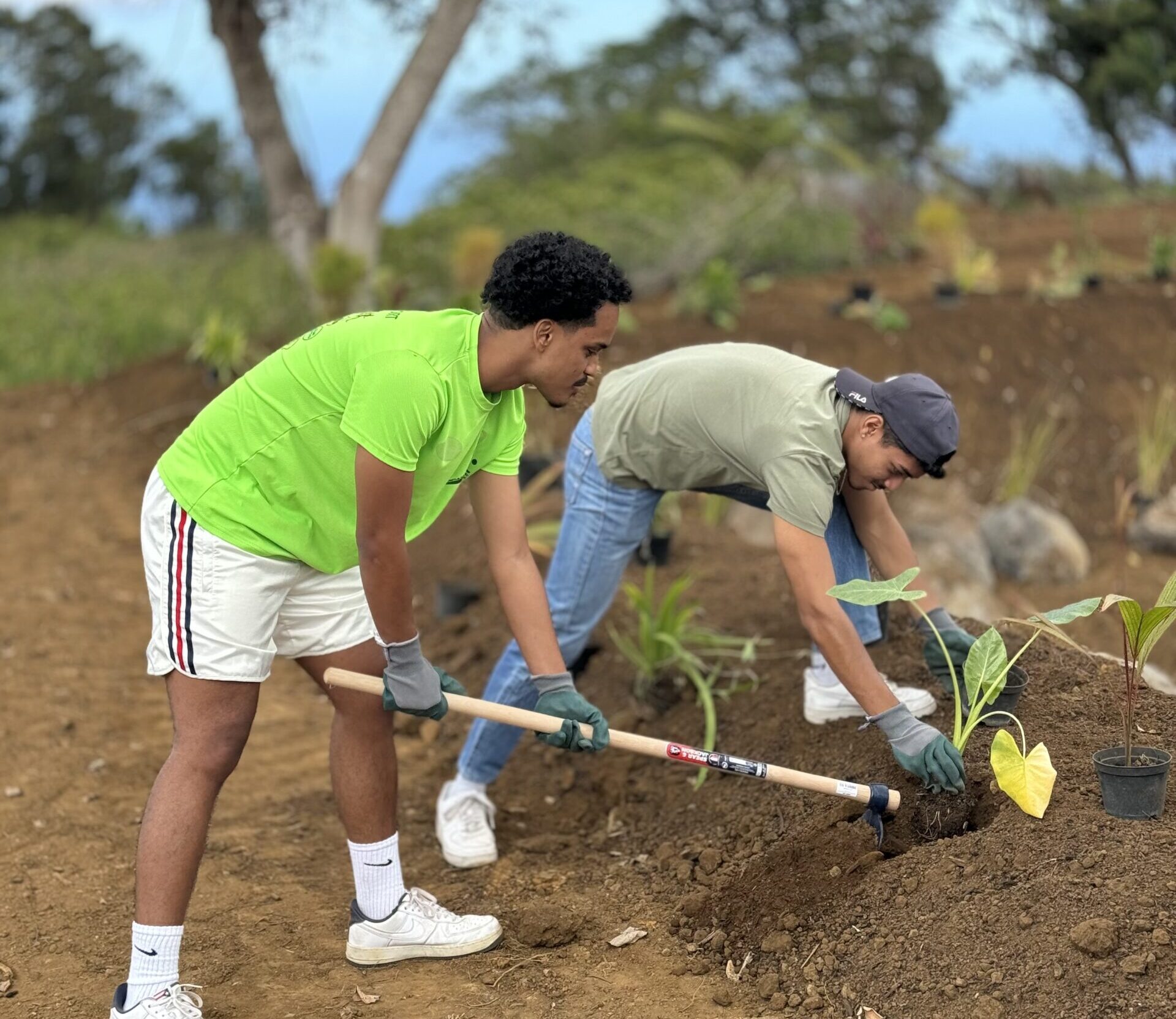 Sensibilisation des jeunes étudiants à la biodiversité de l'île et aux enjeux environnementaux